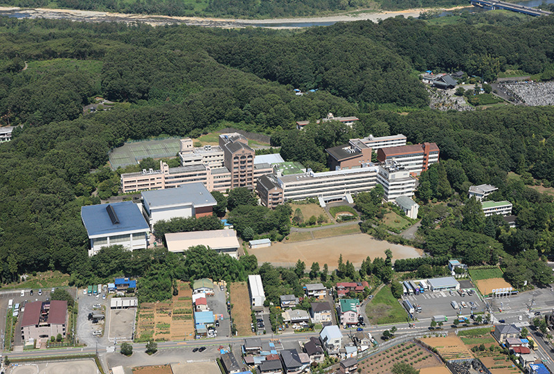 学校全景